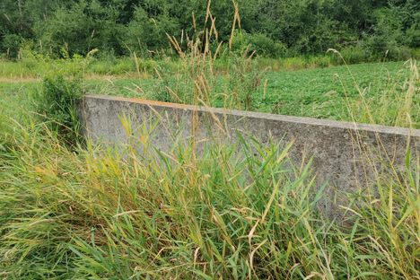 A piece of rectangular concrete emerges from tall grasses in a field