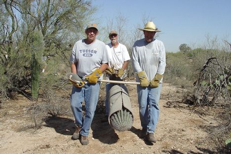 These rescuers are transporting a six-foot saguaro on a day with temperatures reaching more than 100 degrees Fahrenheit. 
