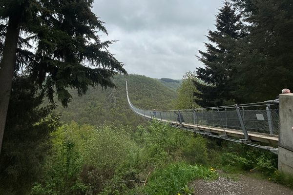 Hängeseilbrücke Geierlay