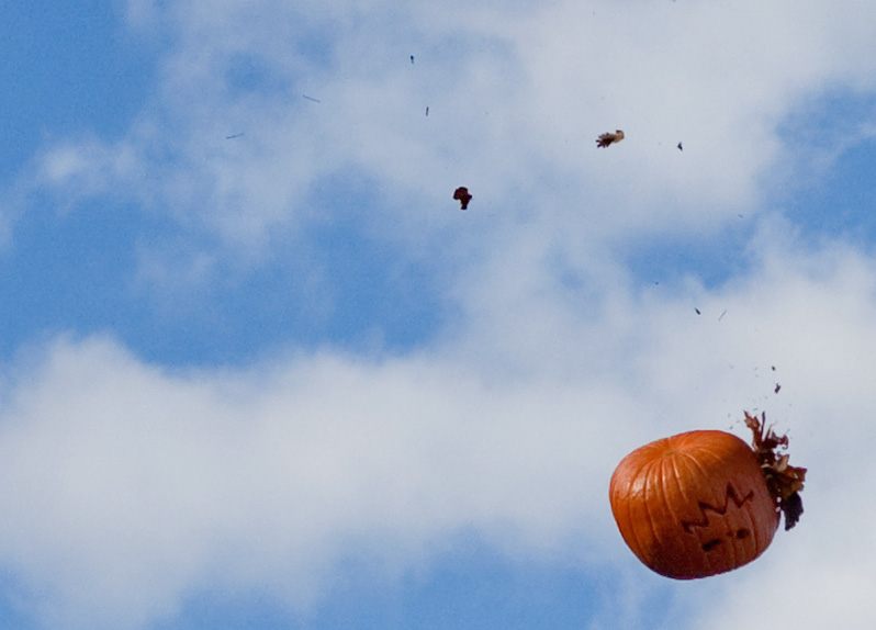 A punkin, mid-chunk.