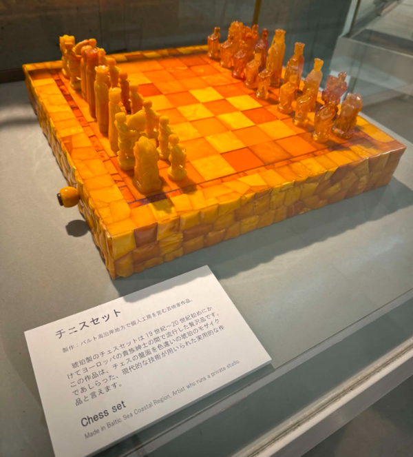 The Kuji Amber Museum in Kuji