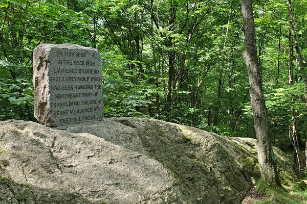 view of the wolf monument atop a large boulder
