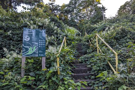 Knoxville Incline Overlook Park - stairs near Welsh Way