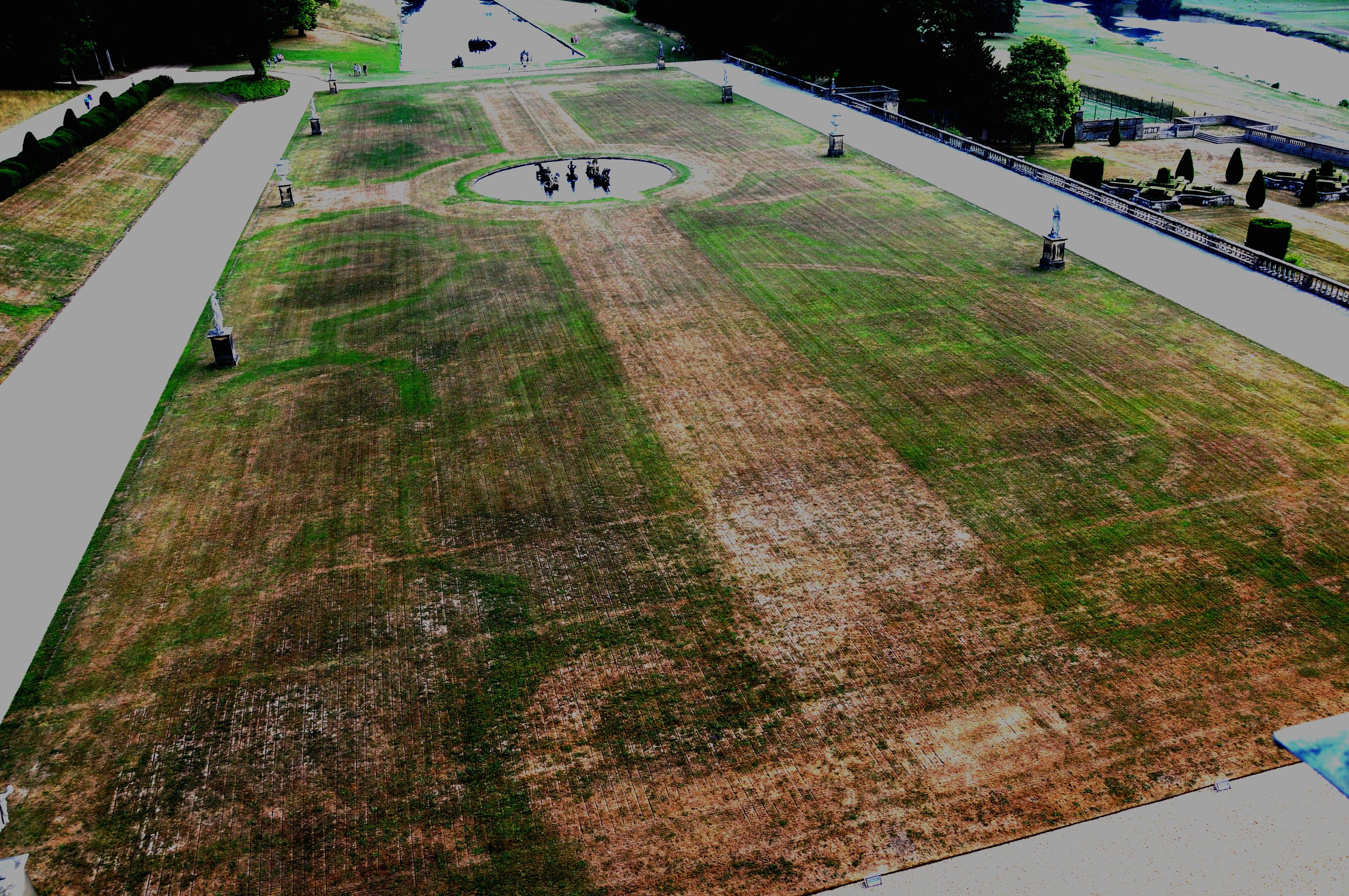 The outlines of the old parterre garden re-emerged in the heat.