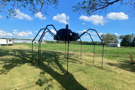 Volkswagen Beetle Spider