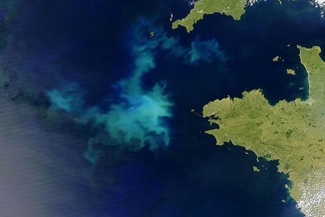 See how the water greens when  more phytoplankton arrive.