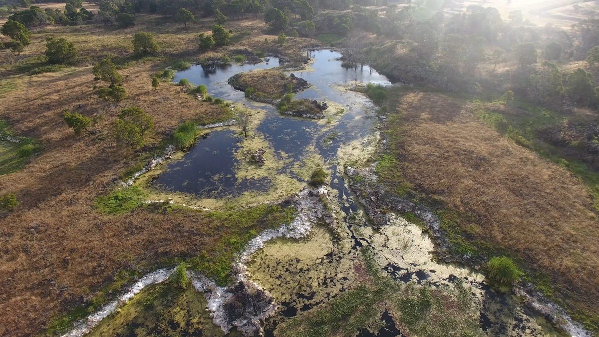 "It’s traditional country here," says Uncle Denis Rose, a Gunditjmara ranger, of this sprawling landscape.