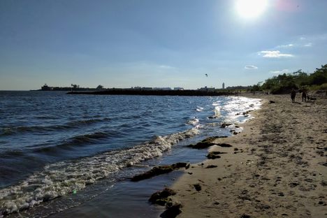 The beach, looking west.
