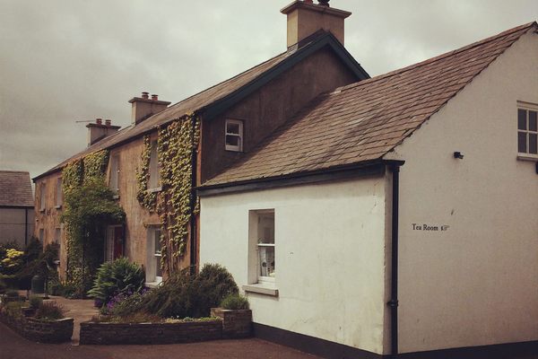 Ballylagan Organic Farm 