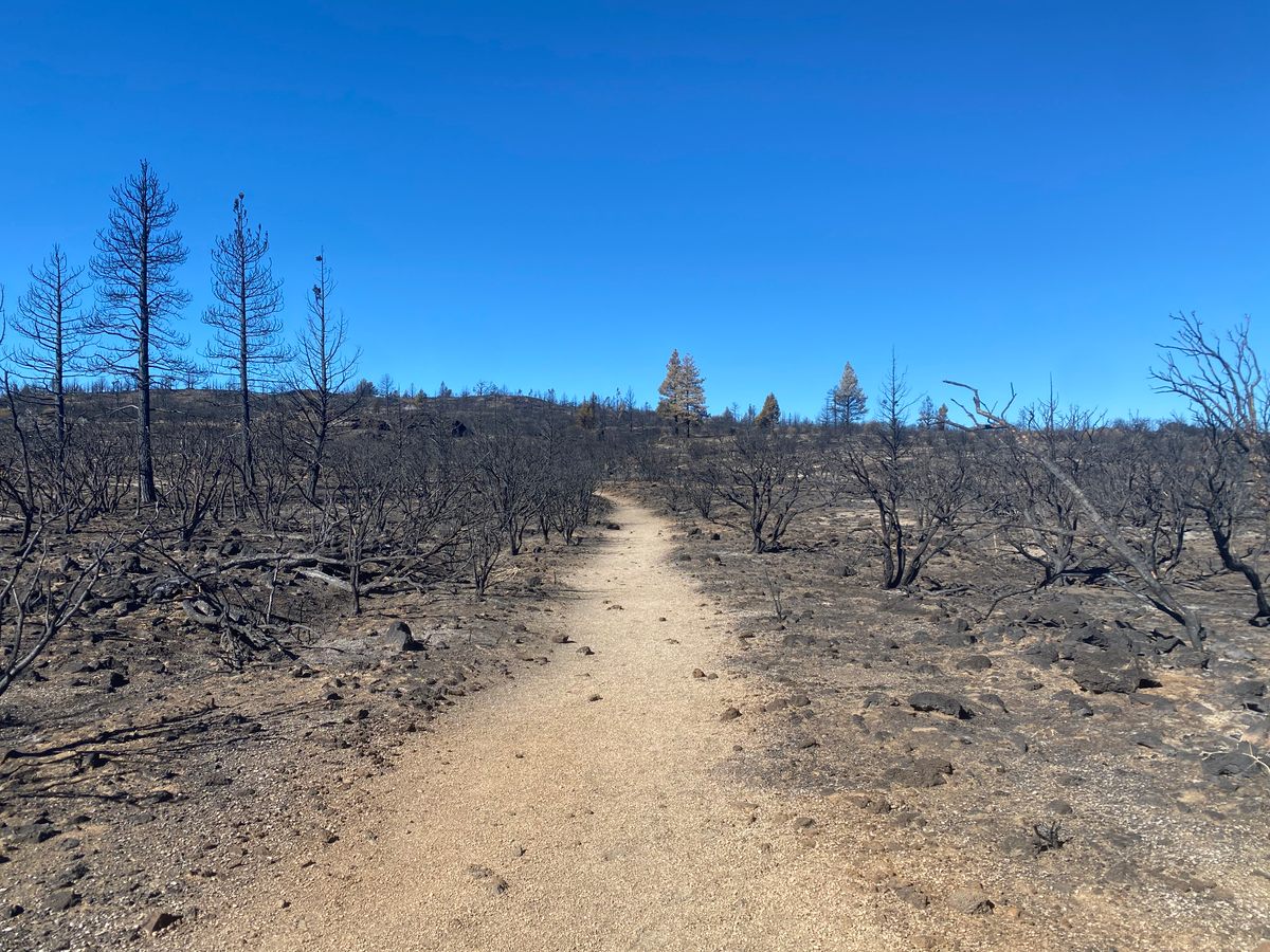 Over the last few years, wildfires have burned across almost all of Lava Beds.