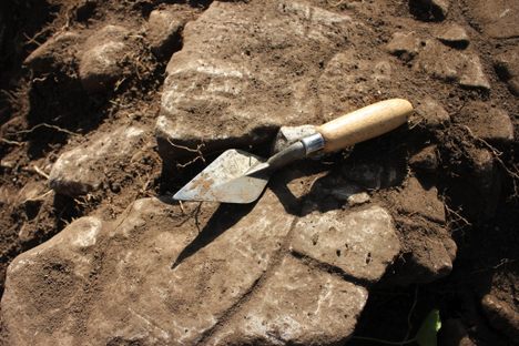 All you need is a good tool, the right patch of dirt, and an internet connection.