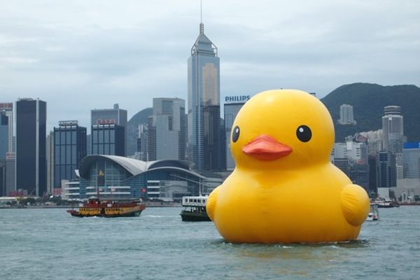 "Rubber Duck" hangs in Hong Kong. 