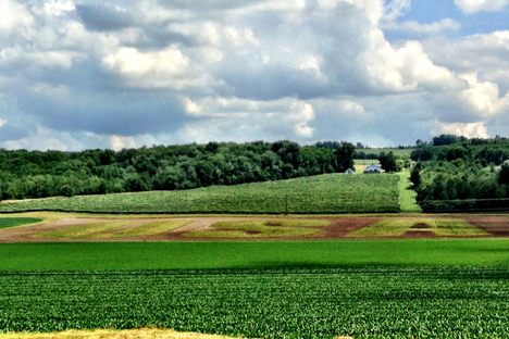 USA Field