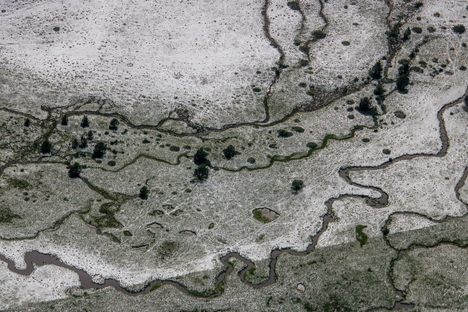 Font Romeu, France — Above the tree line just east of Andorra, the River Tet has its headwaters in many small streams that eventually converge. One June day, a fierce storm stalled over this area, dropping so much hail that it remained until the next day, and accumulated as though it were snowfall. The line at the bottom of this image represents a fence—a grazing boundary that had an effect on the hail's presentation.&nbsp;