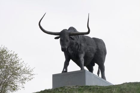 The aurochs.