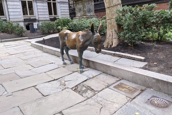Democratic Donkey and Republican Footprints