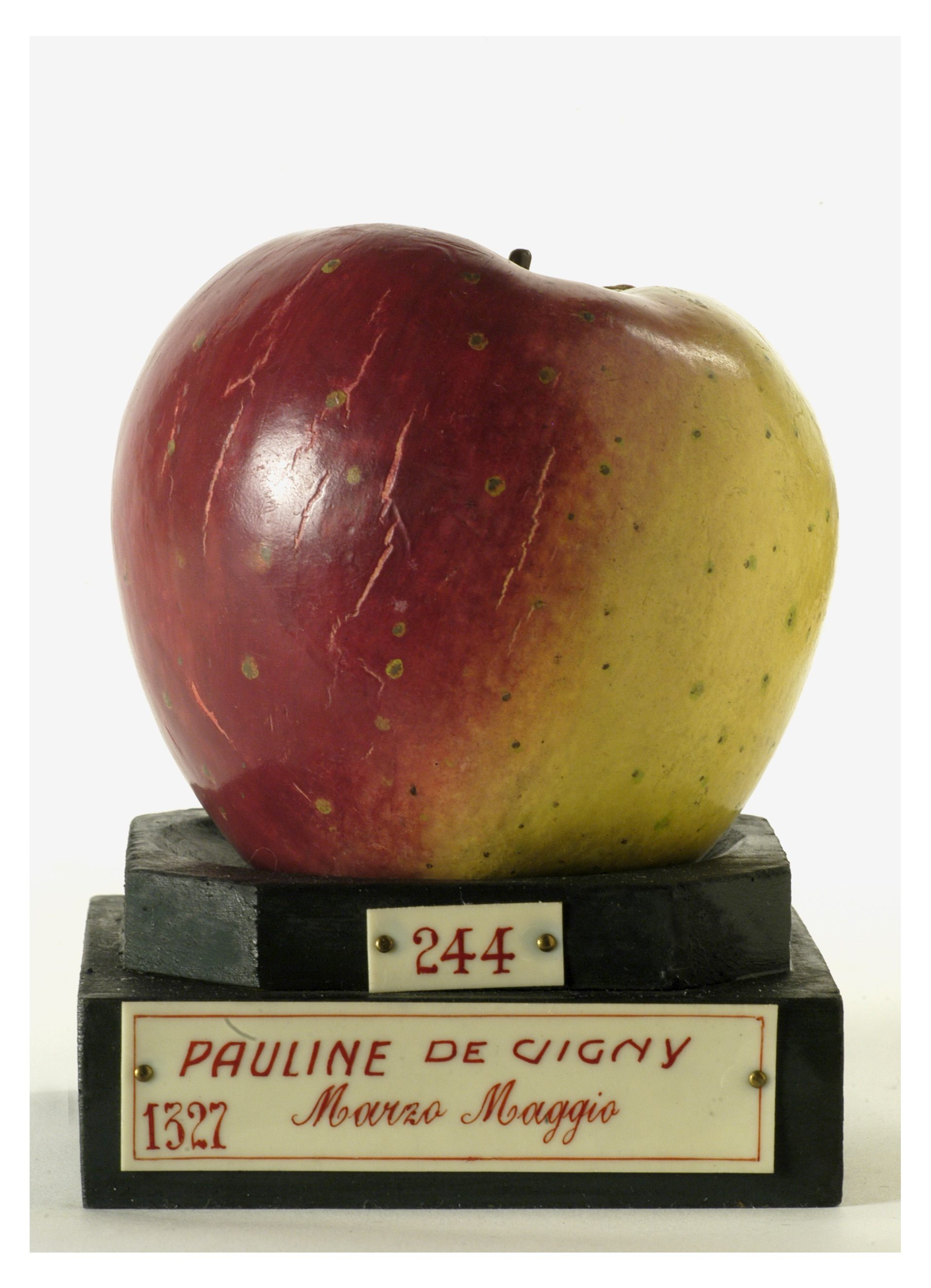 For an apple that's more than 100 years old, this Pauline de Vigny is looking pretty good.