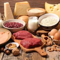 Profile image for foods for bodybuilding