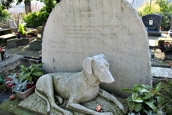 Cemetery of the Dogs