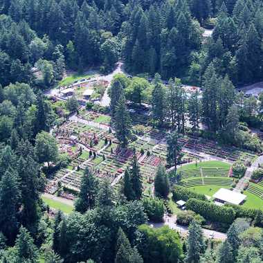 An aerial view of the rose garden.