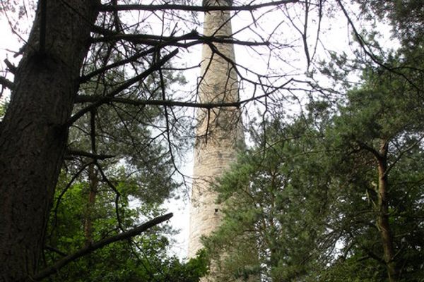 The chimney in the middle of the woods.