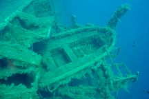 The Zenobia wreck dive.