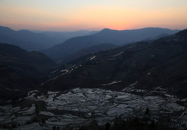Honghe Hani Rice Terraces 