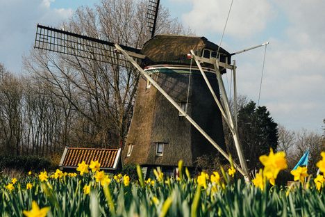 De Riekermolen