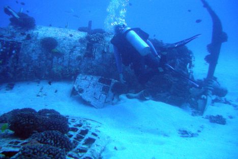A diver approaches