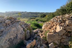 Photo of Malta
