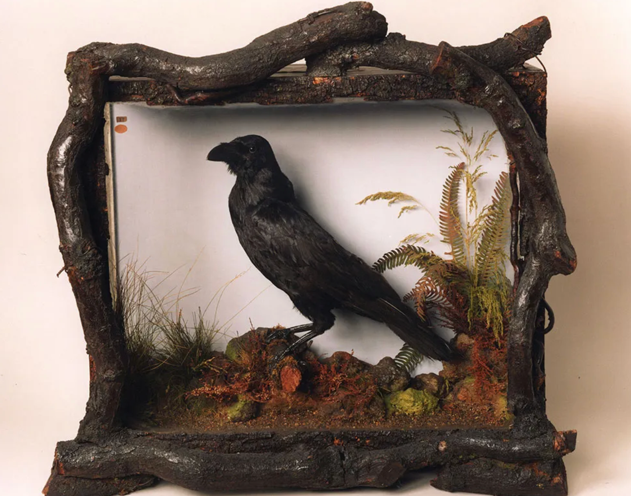 Grip was originally purchased by Col. Richard Gimbel, a collector of all things Poe. In 1971, Gimbel’s Poe collection was donated to the Free Library.