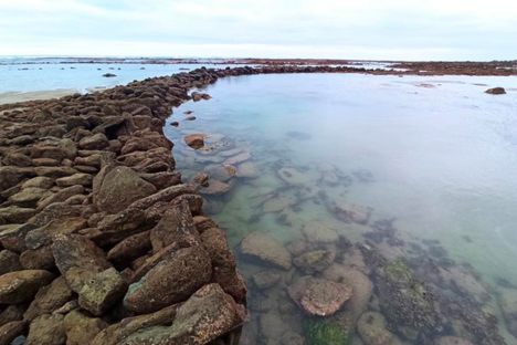 Traps at low tide.