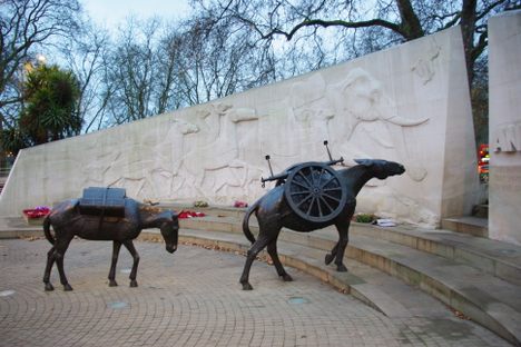 Animals in War Memorial.