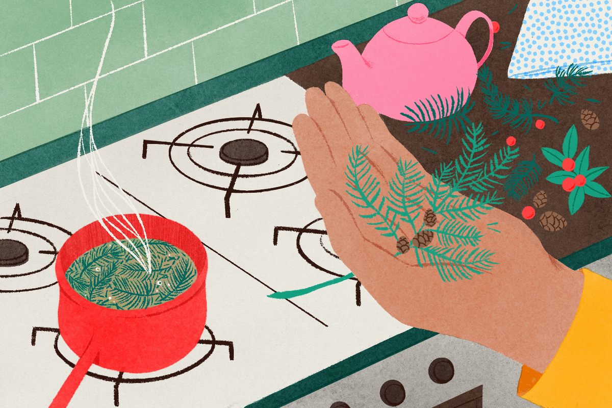 Simmering extracts the leaves' essential oils and fills your kitchen with a soothing arboreal aroma.