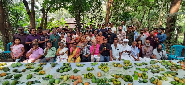 One Indian Village, More Than 100 Varieties of Mangoes