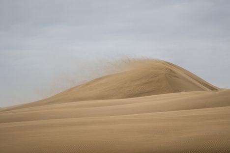 Te Paki Sand Dunes