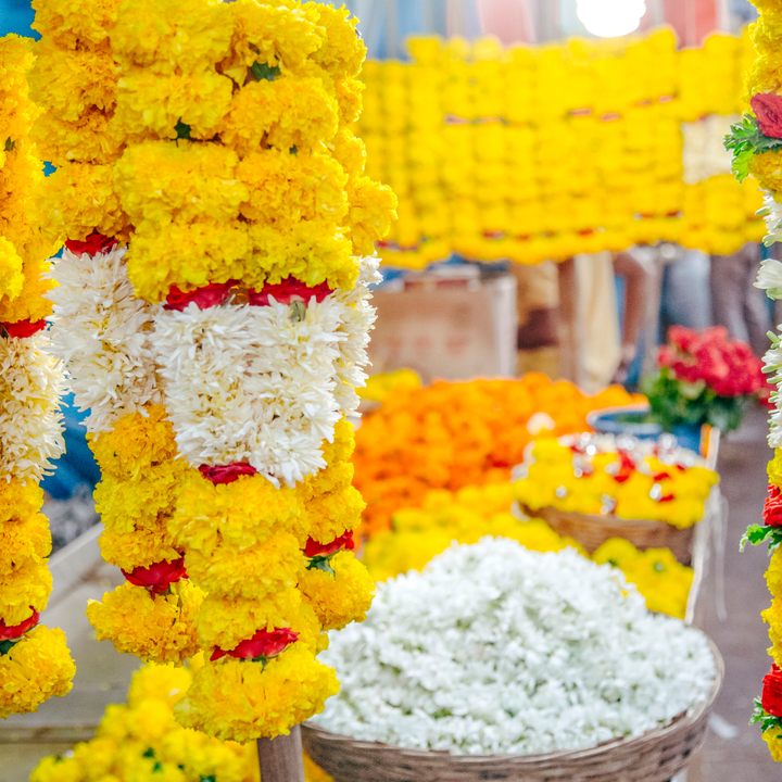 Marigolds, a traditional welcome gift for visitors.