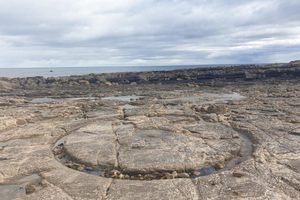 Photo of Crail
