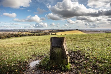 Stump of the Poem Tree