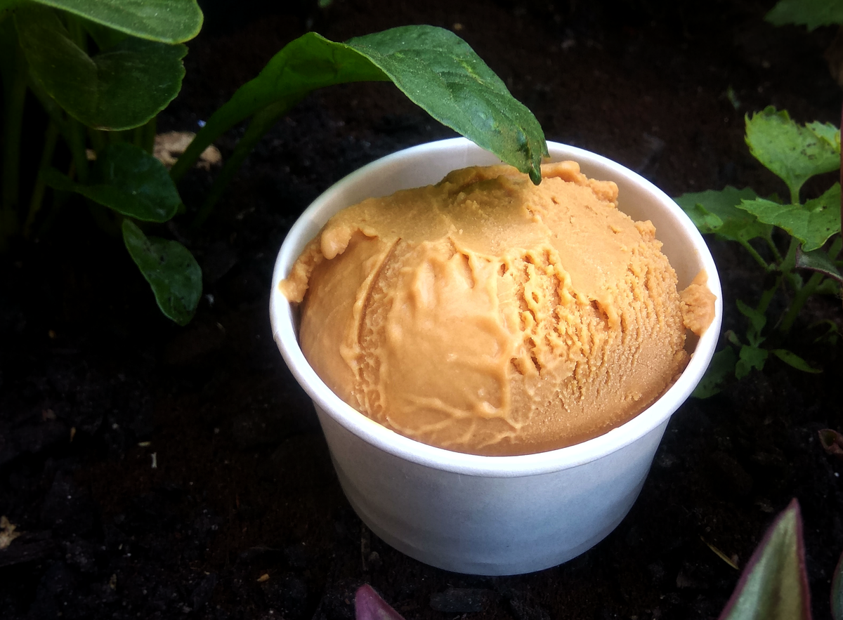 Tapi Tapi Ice Cream Is a Sweet Education on African Liberation