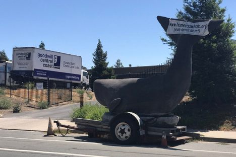 San Luis Obispo's Wandering Whale Statue Needs a Home