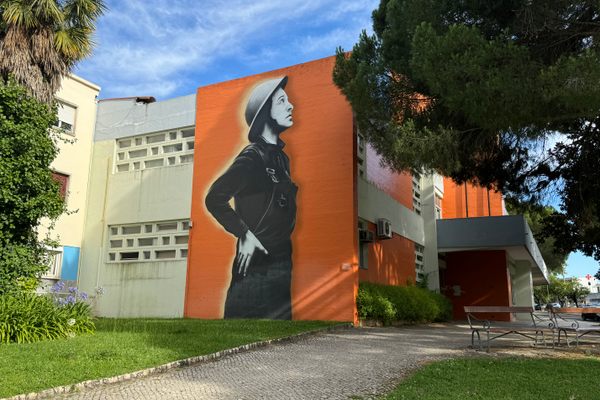2019 Molly Williams mural by street artist Robot