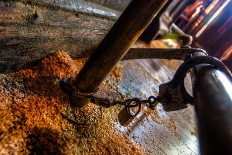 Beyond the Bonds of Death: Four Places to Find Houdini's Legend Still Living in NYC