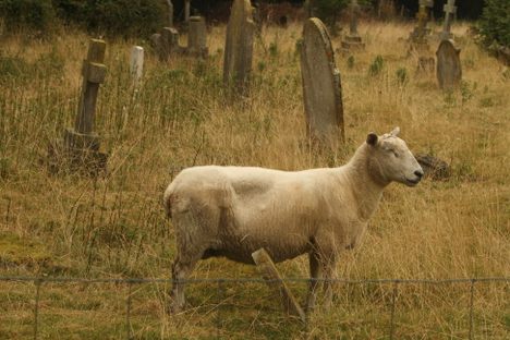 Cudham Churchyard in London. This looks about right. 