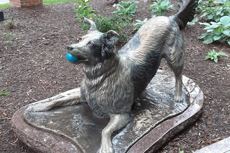 Statue of Chaser, the Smartest Dog in the World 