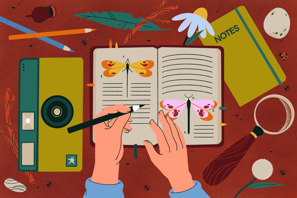 How to Turn Your Road Trip Into a Nature Scavenger Hunt