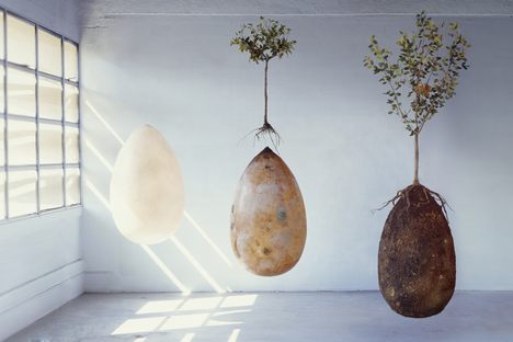Would You Like To Be Buried In A Giant Eco-Egg?
