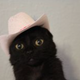 rawriamcujo profile photo