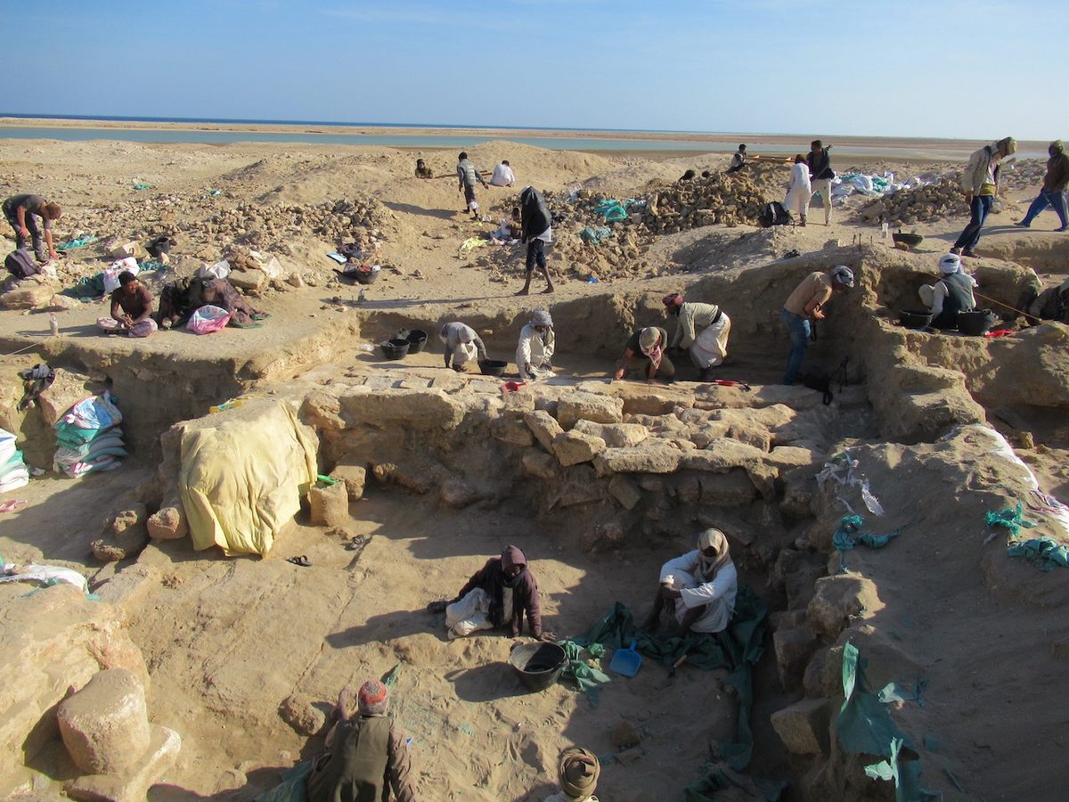Excavations at the port of Berenice, also known as Berenike, have revealed more than 500 animal burials, mostly cats.