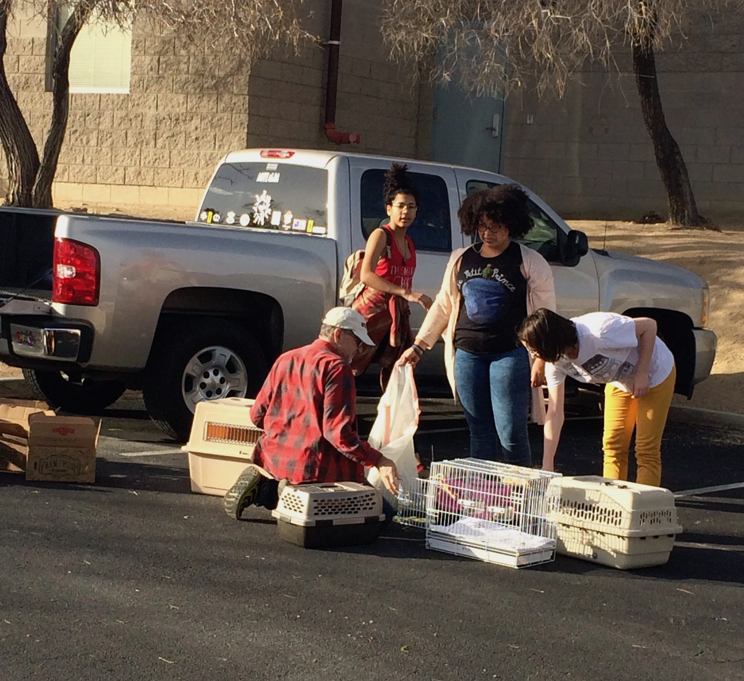 Volunteers prepare to rescue bunnies from the dump site.